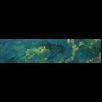 thumbnail Longing 2 Painting - Energy Oil Paintings - eop -